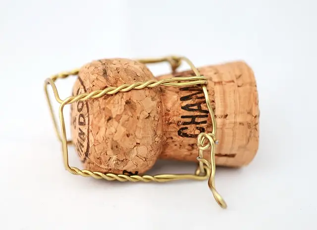 Guide d'achat du meilleur champagne bio